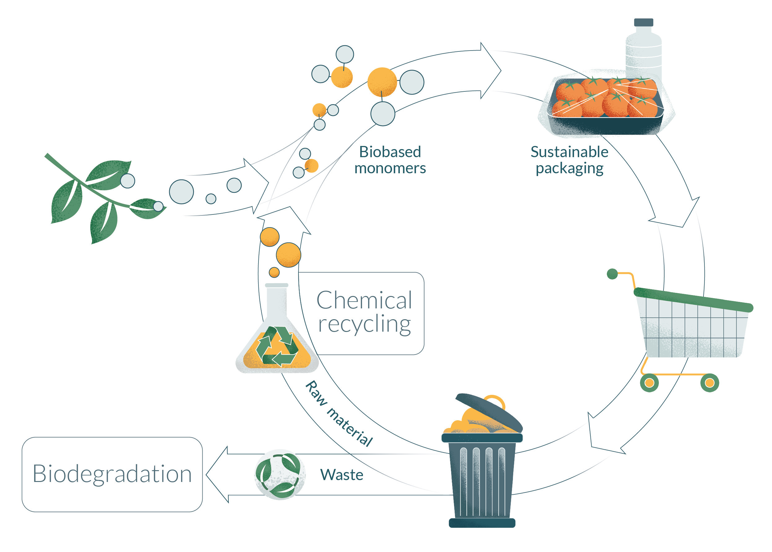 Nature project circular economy of biobased polyesters